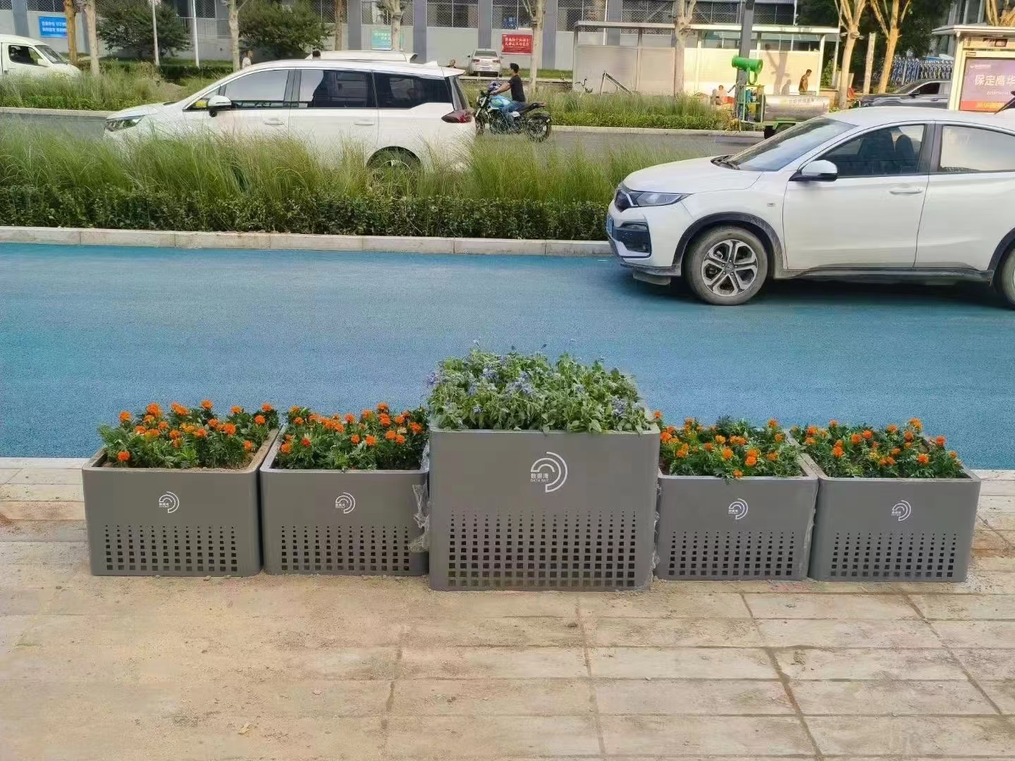 城市道路花箱